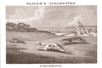 Coursing-11, 1924. af Unbekannt