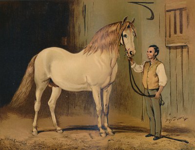 Cream Statsvognshest. Af Hendes Majestæts Stud, c1879. af Unbekannt