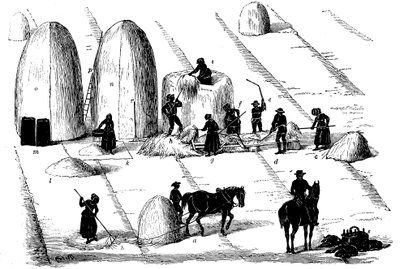Sædskifte: tærskning af rajgræs til frø, 1855 af Unbekannt