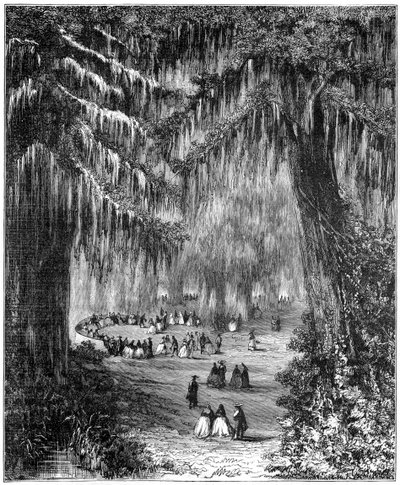 Cypreslund ved Chapultepec, Mexico City, 1877 af Unbekannt