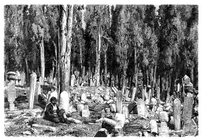 Cyprestræer på kirkegården i Scutari, Tyrkiet, 1895 af Unbekannt