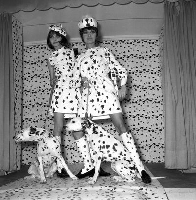 Dalmatinischer Modus von Unbekannt