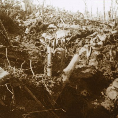 Ødelagt beskyttelsesrum, Les Éparges, Nordfrankrig, 1915. af Unbekannt