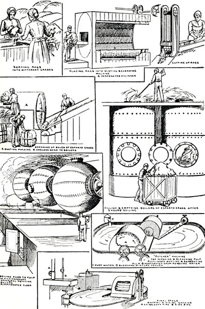 Diagrammer, der illustrerer forberedelsen af klude og espartogræs til papirfremstilling, c1917 af Unbekannt
