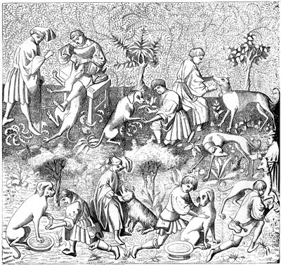 Hundesygdomme og deres kure, 1300-tallet 1849 af Unbekannt