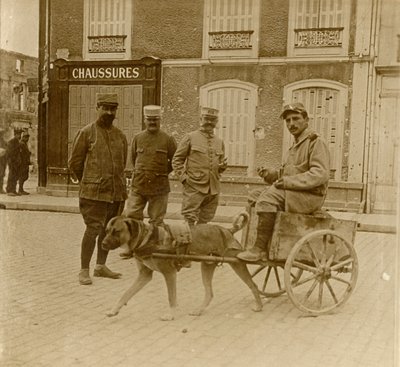 Hundevogn, Frankrig, c1914-c1918 af Unbekannt
