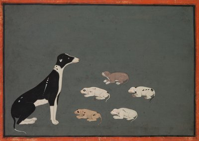 Hund med unger, ca. 1780. af Unbekannt