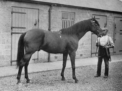 Donovan, 1886-1905, 1911 af Unbekannt