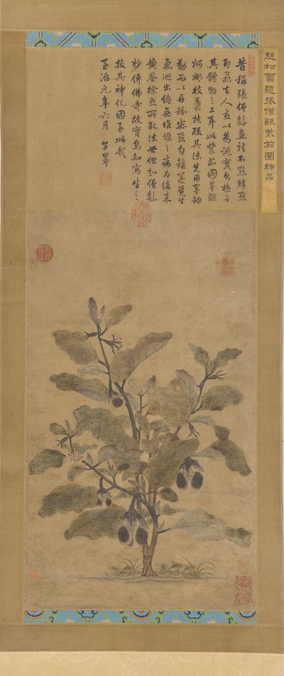 Aubergine, Ming-dynastiet, 1368-1644. af Unbekannt