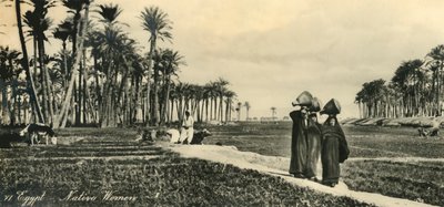 Egypten - indfødte kvinder, c1918-c1939. af Unbekannt