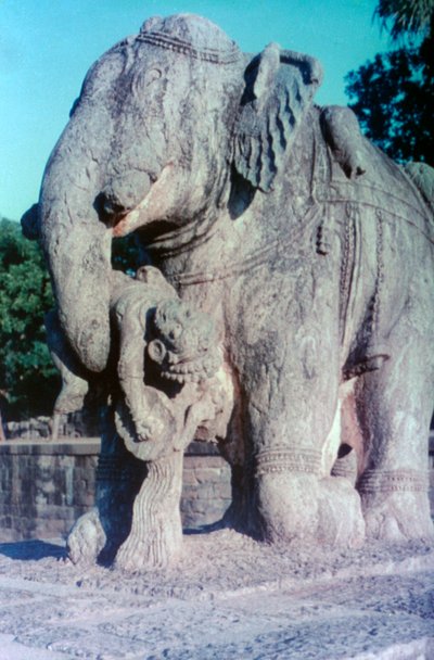 Elefantskulptur, Khajuraho, Indien. c950-1050. 20. århundrede af Unbekannt