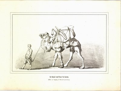 En kamel med en leder fra Sardis. Illustration taget fra bogen Variegated travel pictures af Jerichau-Baumann, Elisabeth og udgivet på Forlagsbureauet (København, 1881) af Unbekannt
