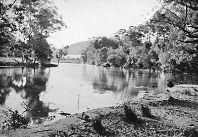 Evening Shadows, National Park, c1900. af Unbekannt