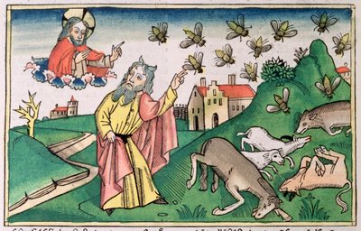 2 Mosebog 8:20-32: Moses og fluesværmen, en af Egyptens syv plager af Unbekannt