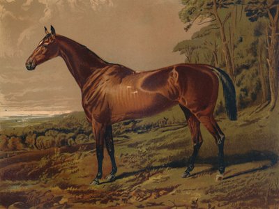 Fair Nell, c1879. af Unbekannt