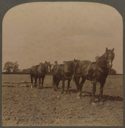 Farming in England - Harrowing the Land, 1909. af Unbekannt