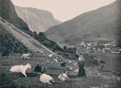 Flaam, 1914. af Unbekannt
