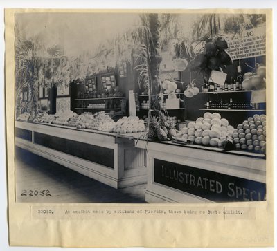 Florida havebrug udstiller i Palace of Garticulture på verdensudstillingen i 1904 af Unbekannt