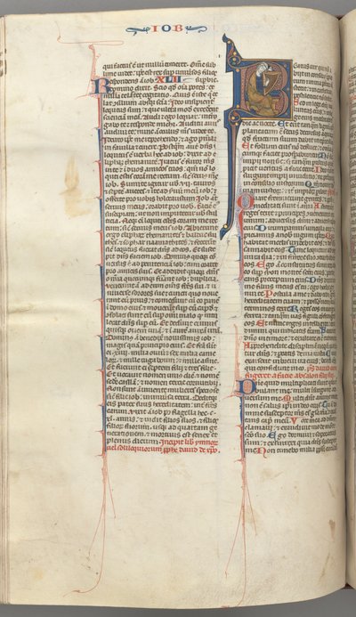 Fol. 214v, Salme 1, historisk initial 8, David harping, ca. 1275-1300. af Unbekannt