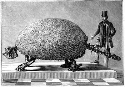 Fossil af en kæmpe bæltedyr fra Sydamerika, c1890 af Unbekannt