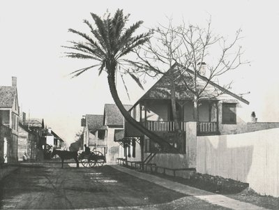 Francis Street, St. Augustine, USA, 1895. af Unbekannt