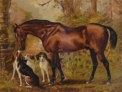 Frimurer - den afdødes favoritjæger Hugo Meynell Ingram Esq., c1879. af Unbekannt