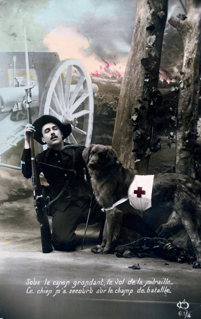 Fransk postkort fra første verdenskrig, 1914-1918 af Unbekannt