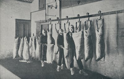 Frosset kød, 1910 af Unbekannt