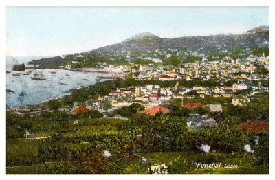 Funchal, Madeira, begyndelsen af det 20. århundrede af Unbekannt