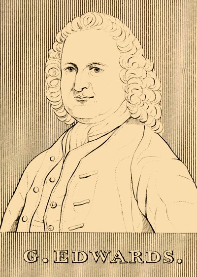 G. Edwards, 1694-1773, 1830. af Unbekannt