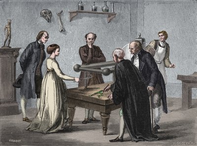 Galvanis opdagelse, 1780 1894 af Unbekannt