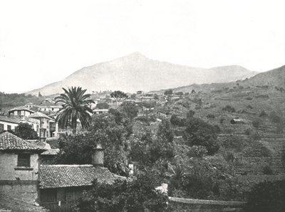 Generel visning af toppen, Tenerife, De Kanariske Øer, Spanien, 1895. af Unbekannt