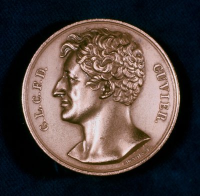 Georges Leopold Chretien Frederic Dagobert, Baron Cuvier, fransk anatom, 1800-tallet af Unbekannt
