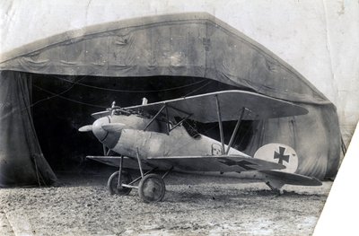Tyske Albatros DV, Souilly, Frankrig, 2. januar 1918 af Unbekannt