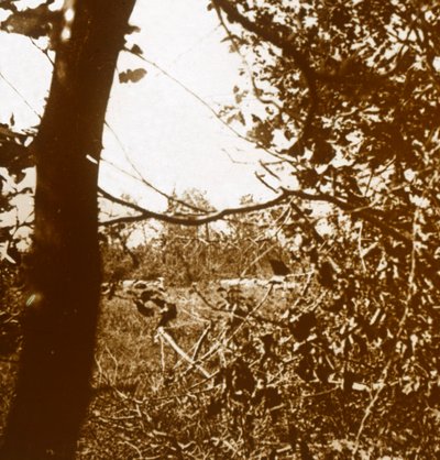 Tyske skyttegrave, c1914-c1918 af Unbekannt