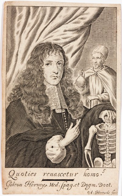 Gideon Harvey, engelsk læge af Unbekannt