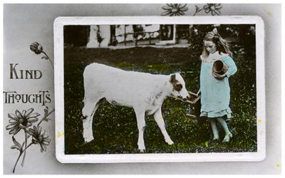Pige ved at malke en ko, lykønskningskort, c1890-1910 af Unbekannt