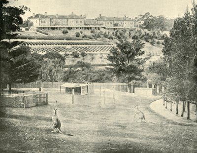 Gladesville Asylum for the Insane, New South Wales, 1901. af Unbekannt