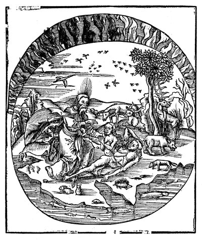 Gud skabte Eva fra Adams ribben, 1508 af Unbekannt