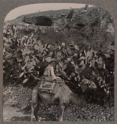 Golgata Hovedskallens sted, c1900 af Unbekannt