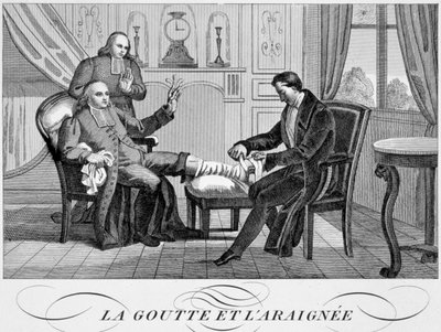 Gigt og edderkoppen, c1835 af Unbekannt