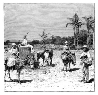 Gruppe af haitiere, c1890 af Unbekannt