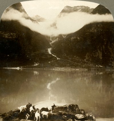 Grytereids-gletsjeren glitrer over drivende skyer på tværs af den rolige Olden-sø, Norge, c1905. af Unbekannt