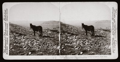 Boer War (Sydafrika af Unbekannt