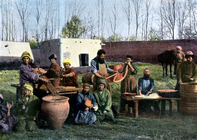 Gut-dressing værker, Bukhara, Usbekistan, c1890 af Unbekannt