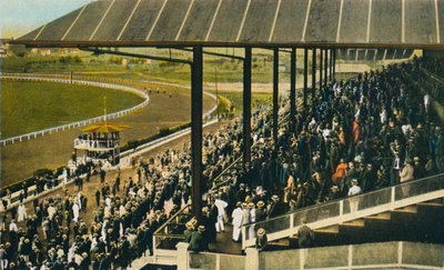 Havana, Hestevæddeløb. Racerbane ved Marianao, ca 1915 af Unbekannt