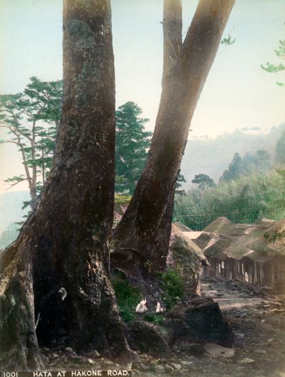 Hata ved Hakone Road, Japan, begyndelsen af det 20. århundrede af Unbekannt
