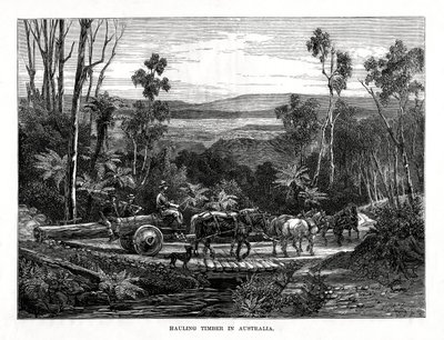 Trækhaling, Australien, 1877 af Unbekannt