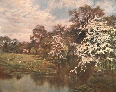 Hawthorn Blossoms, c1899, c1902. af Unbekannt