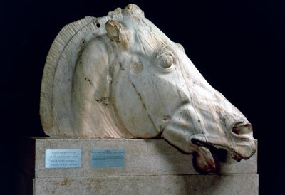 Hovedet på en hest fra Selene-vognen fra Parthenons østlige fronton, 447-432 f.Kr. af Unbekannt